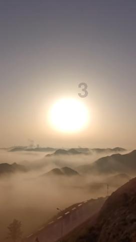 世界上身价最高的5大犬种!