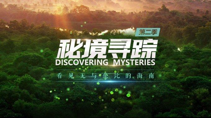 逃离森林边缘