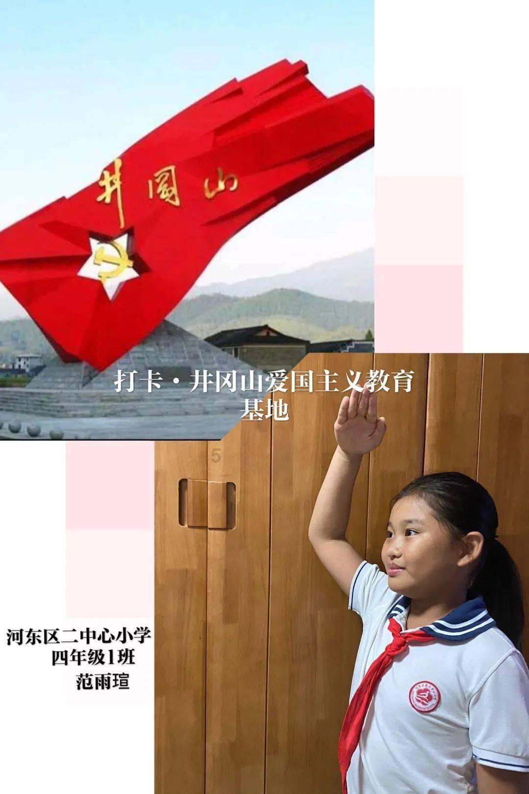 旅美大熊猫幼崽“小奇迹”迎两周岁生日,为什么大熊猫如此稀有?-你的智慧问答平台