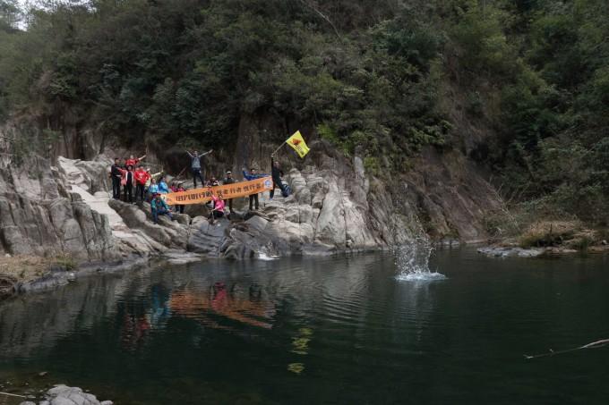 漂亮鹦鹉救援