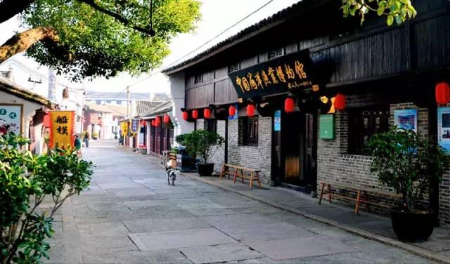 救援受困的鬃狼