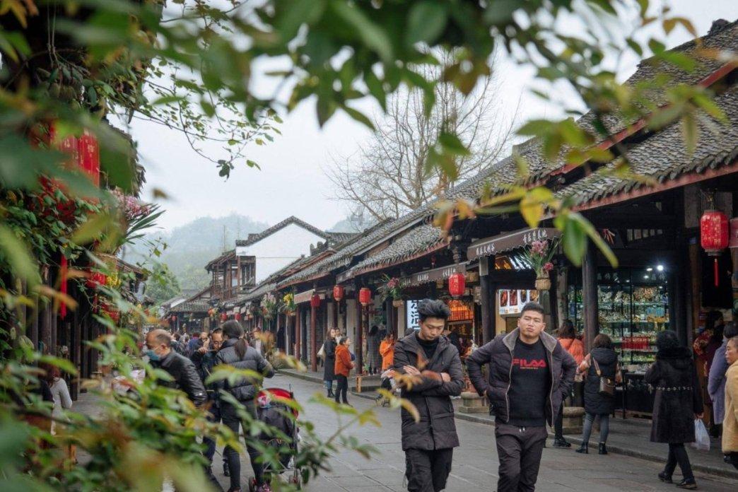 土狗的记忆力有多长时间游戏画面